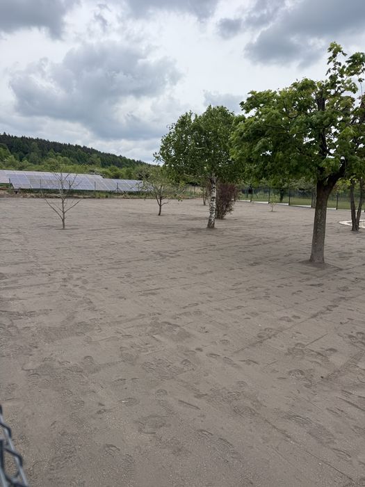 Usługi Ogrodnicze i Koparkowe Usługi brukarskie