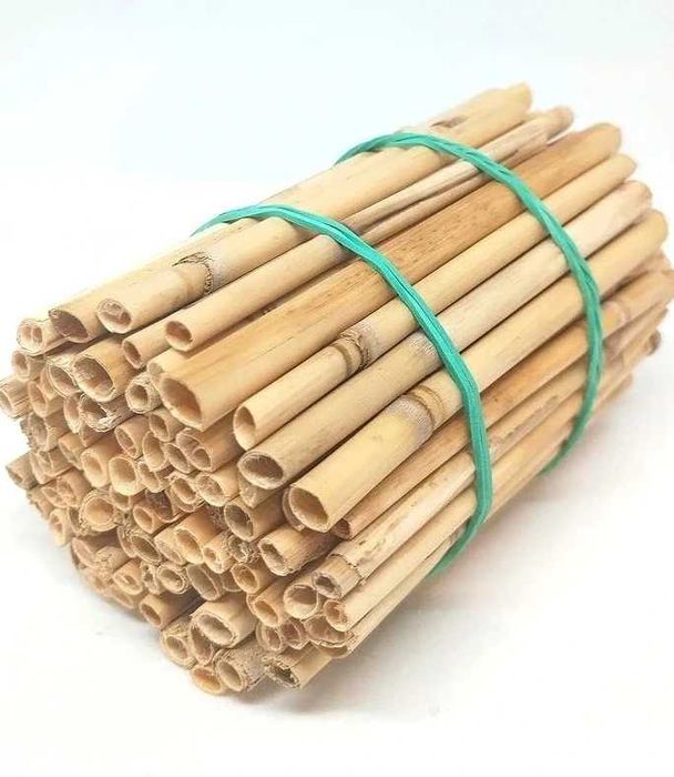 100szt Rurki z trzciny lęgowe dla pszczół os miesiarek hotel domek