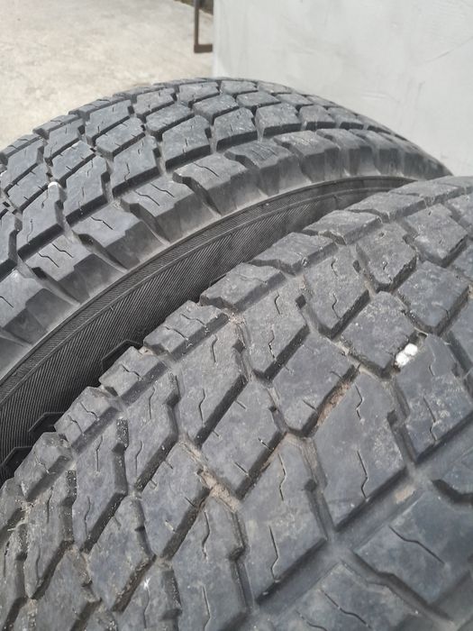 Продам резину. цешка.