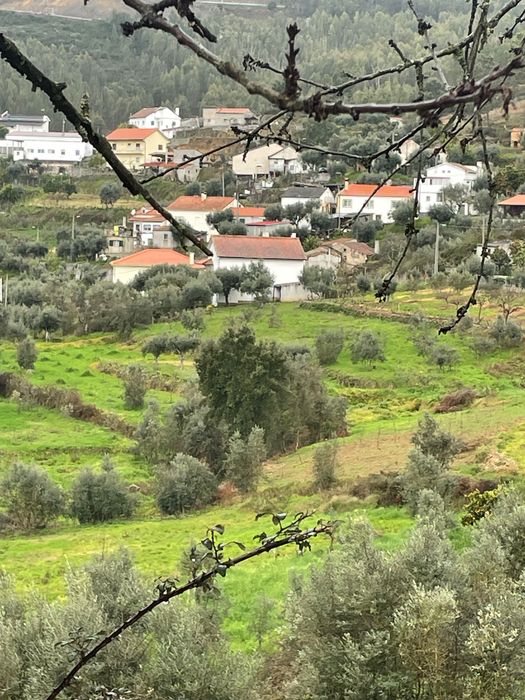 Imóveis/terreno