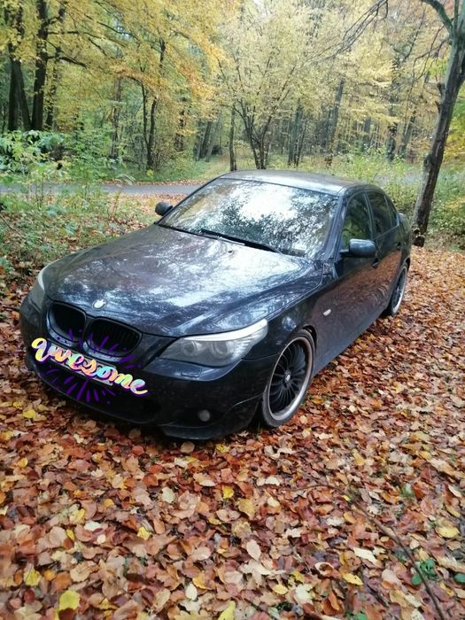 BMW E60 530D MPakiet  ANGLIK zarejestrowany
