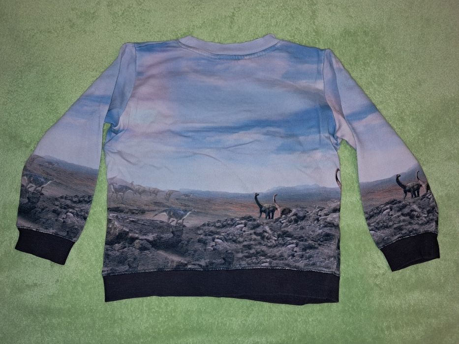 Bluza H&M 110 116 dinozaury t-rex