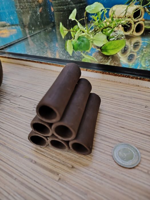 Grotki, rurki ceramiczne. Rak, krewetka.