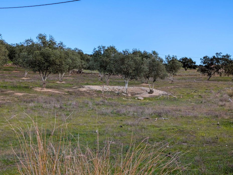 Propriedade única com a possibilidade de construção até 500 m²