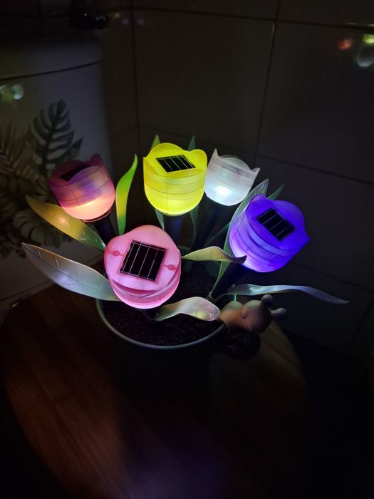 Tulipany solarne 5sztuk .