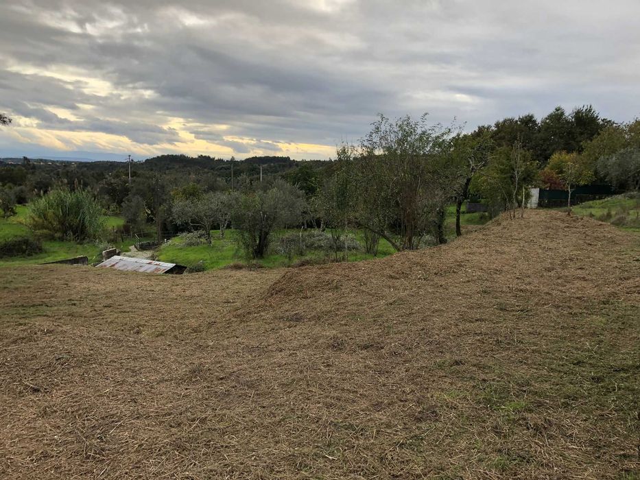 Casa rústica de aldeia com terreno, para reconstrução/remodelação.