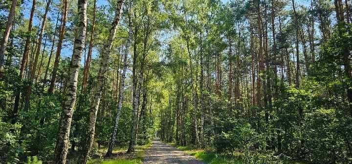 Agroturystyka "Sosenkowe zacisze "