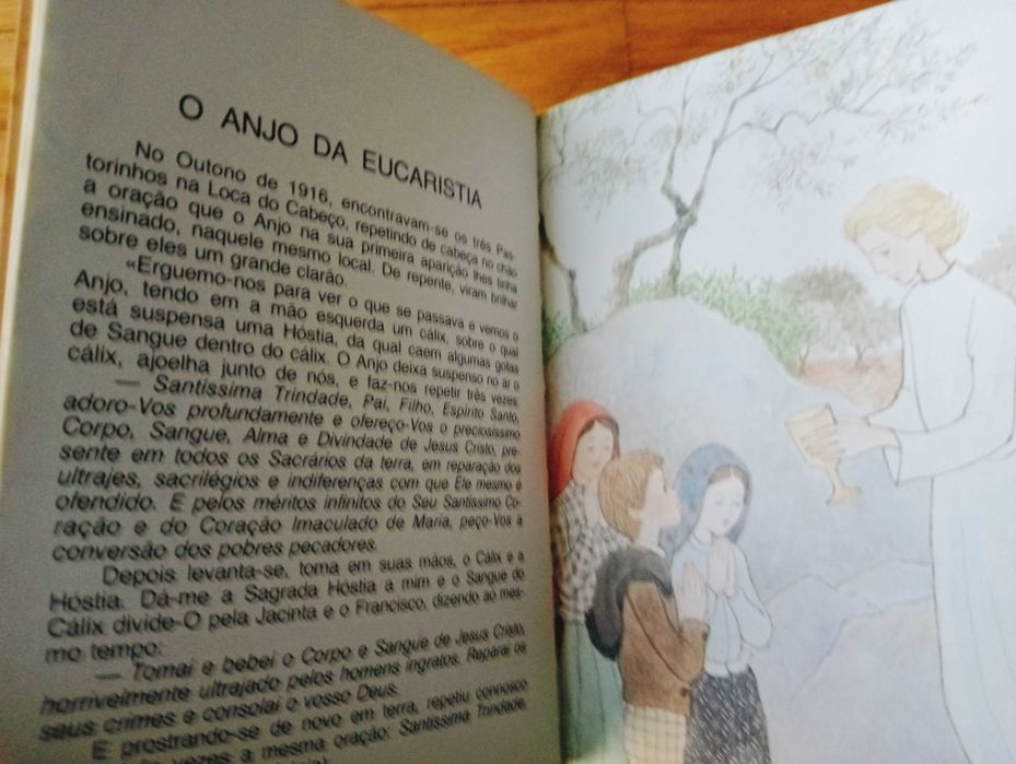 Livro Francisco, Pastorinho de Fátima
