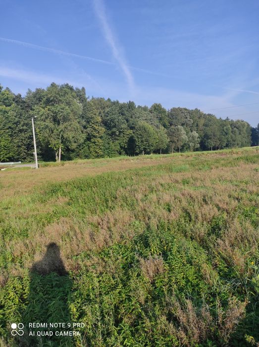 Działka budowlana przy lesie