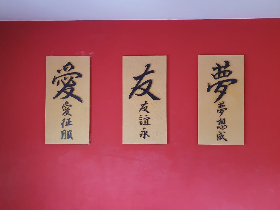 Gipsowe płyty ścienne STEGU 3szt