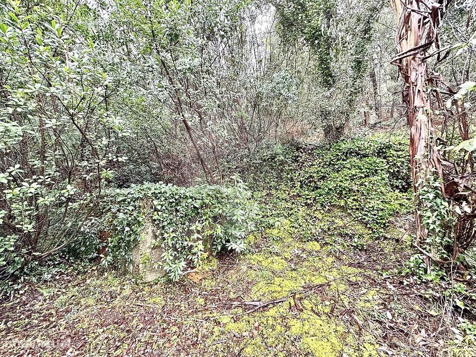 Terreno  para venda