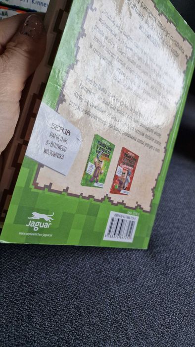 Cube Kid -Pamiętnik 8 bitowego wojownika