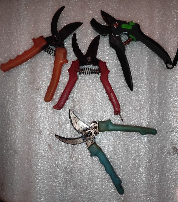 Продам  секатори