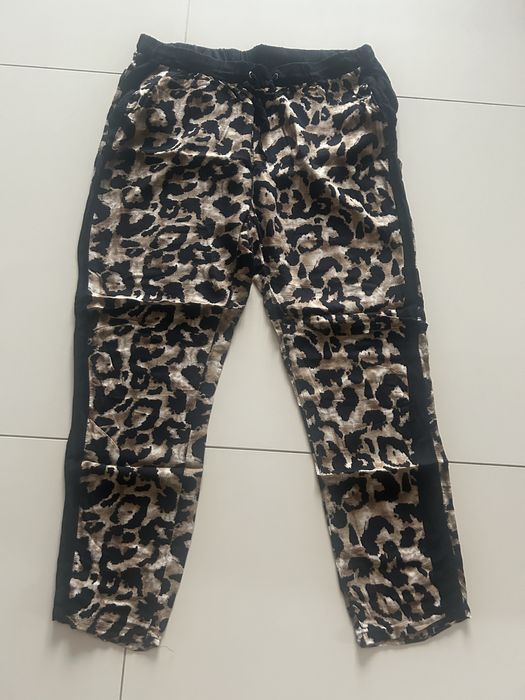 Spodnie Sinsay zwierzecy print L