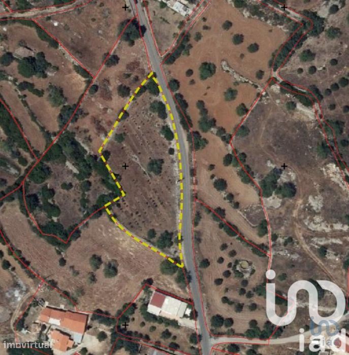 Terreno Agrícola em Conceição e Estoi