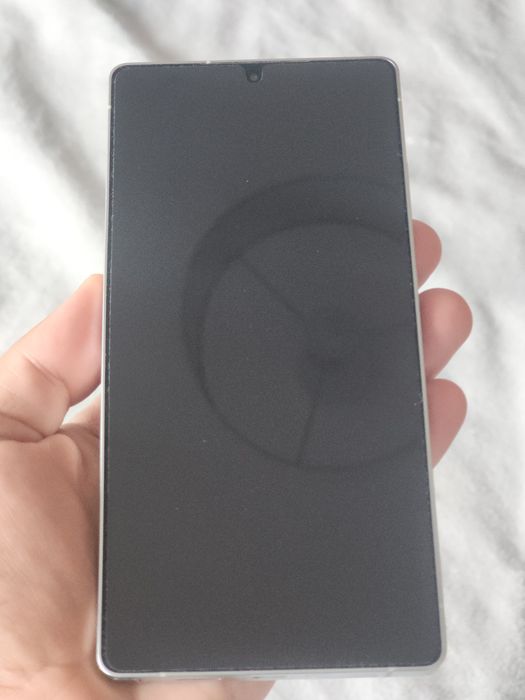 Samsung Galaxy S25 Ultra 256 Gb