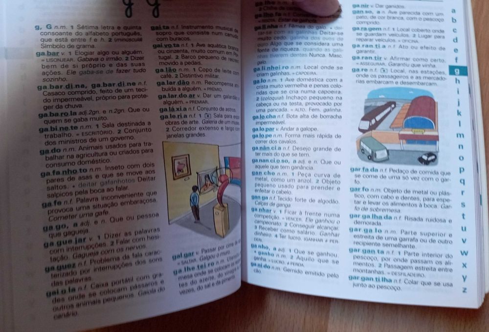 2 dicionários de Língua Portuguesa