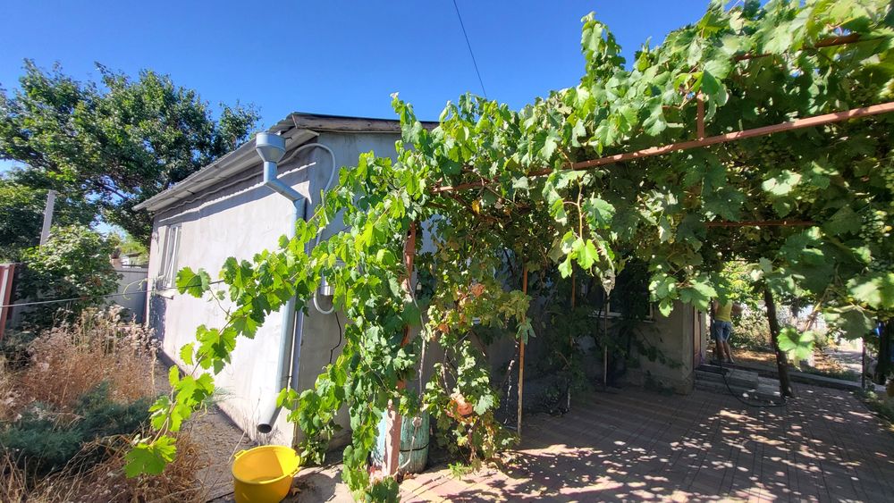 Продаю будинок в Миколаївському районі.