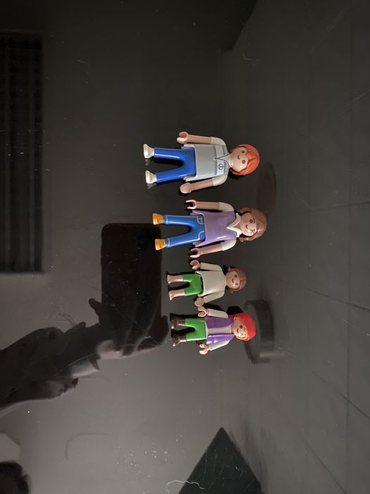 Various Playmobil64739398449666120