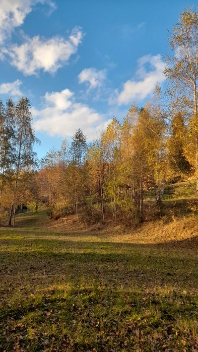 Domki do wynajęcia w  górach.