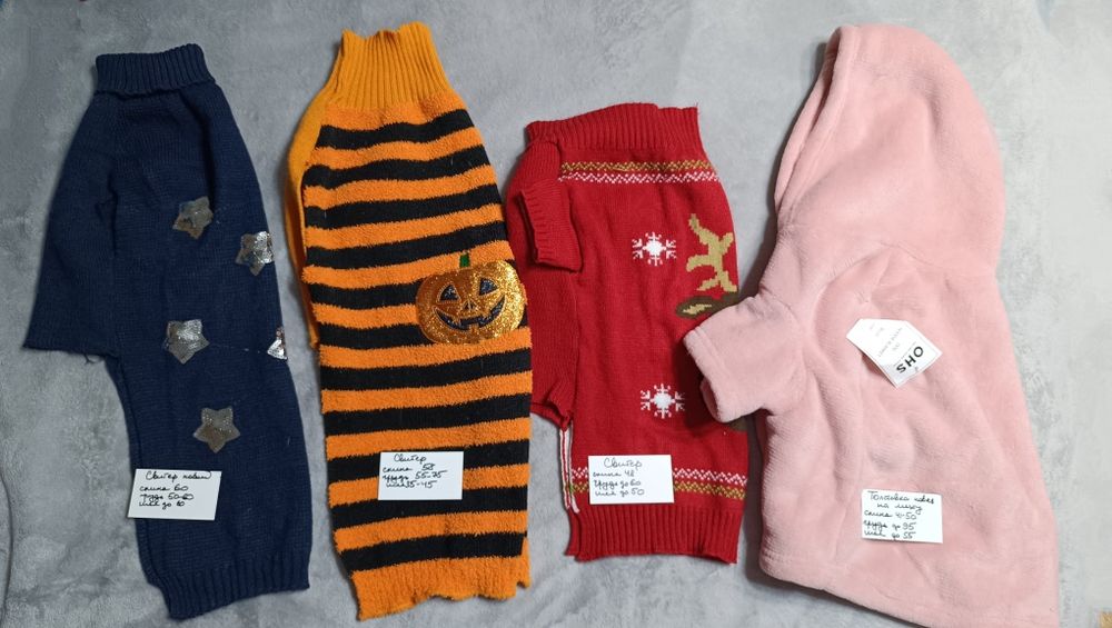 Одежда для собак, одяг для собак