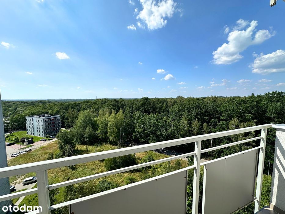 2 niezależne pokoje i balkon z widokiem na las| Miechowice | 39 m2 |KW