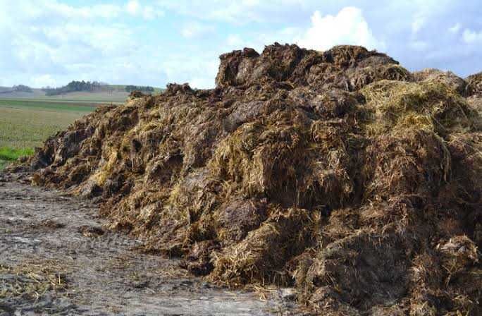 Obornik odpady po zwierzetach