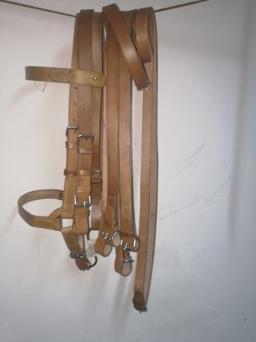 Oglowie kawaleryjskie z podwojnymi wodzami