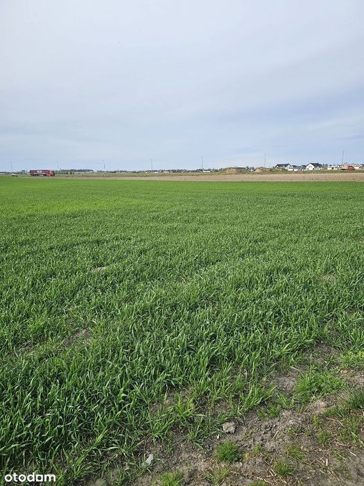 Święciechowa Sprzedam działkę pod inwestycję.