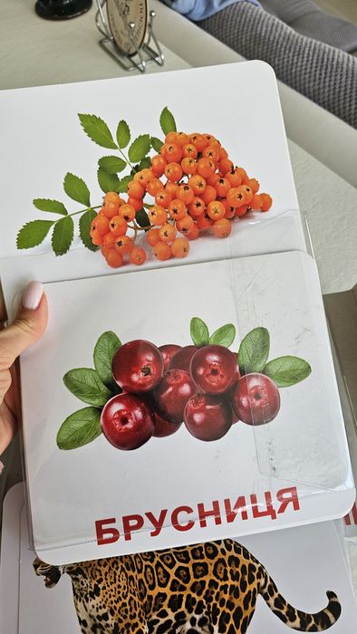 Набір картки Домана, велика валіза, рос і укр мови