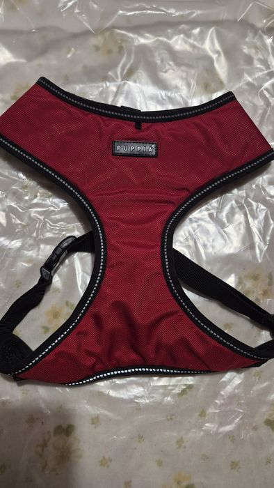 Peitoral puppias XL
