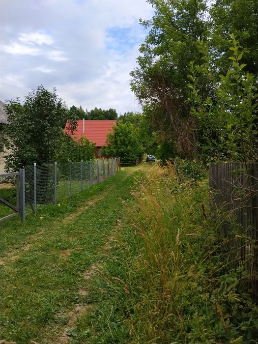 Продам дачу біля річці у селі Новий Мізунь