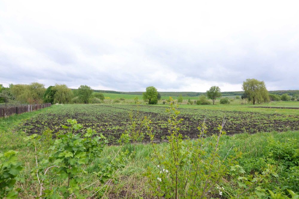 ТЕРМІНОВО продам будинок в селі Попелів (60)