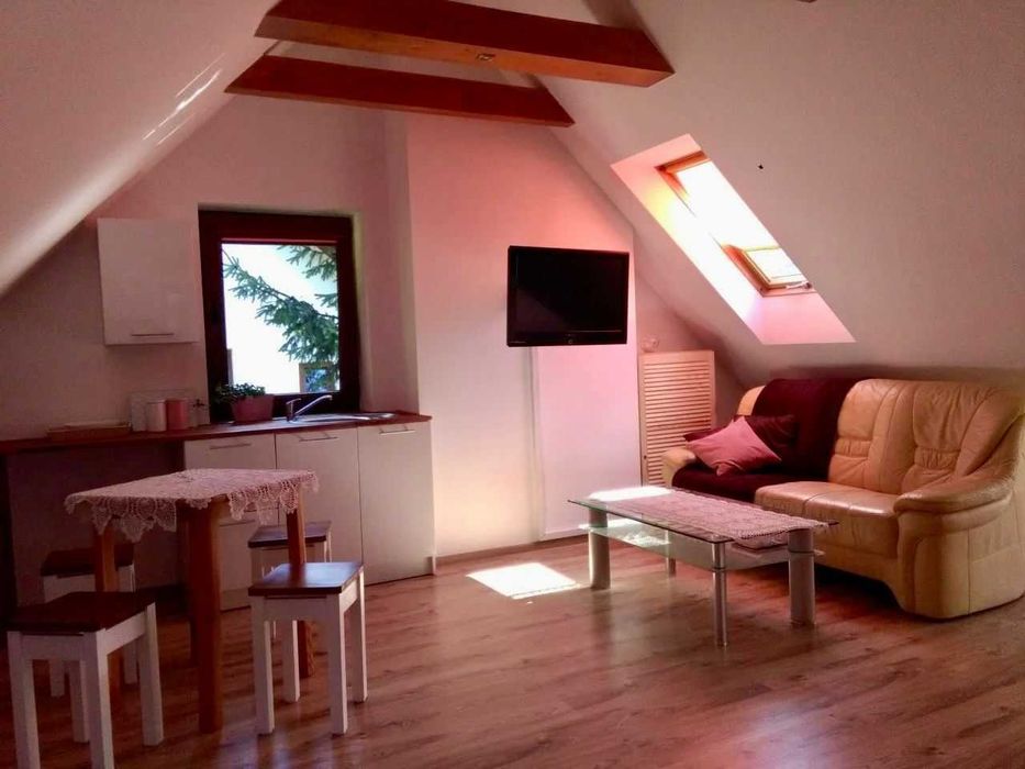 Apartament najem długookresowy, komercyjny.