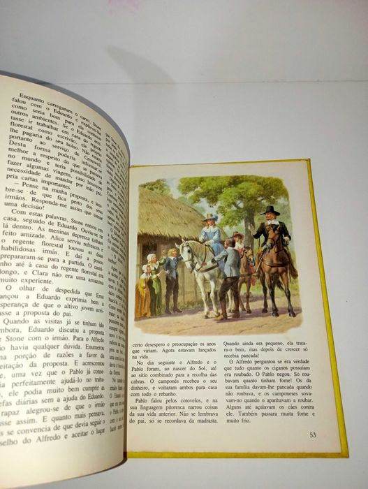 Os Rapazes da Nova Floresta - Verbo