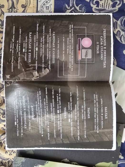 Shadow of colossus ps2 Manual + Postais