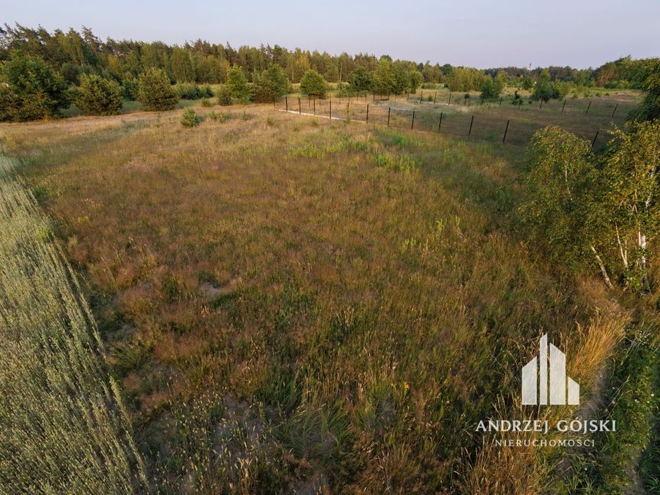 Działka budowlana / 1.8km od PKP Mrozy
