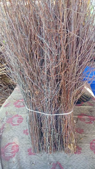 Продам, березові віники