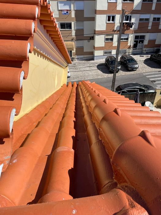 Limpeza e Restauração de Telhados