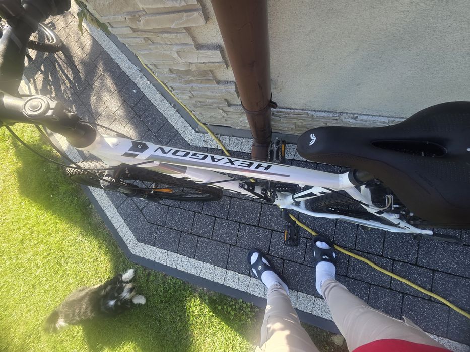 Rower Kross Hexagon S