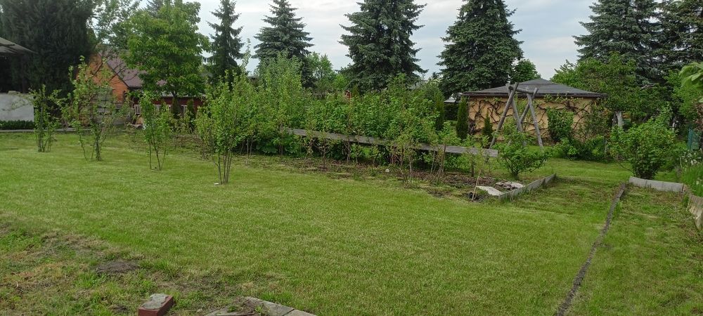 Działka ogrodowa - Widok 6
