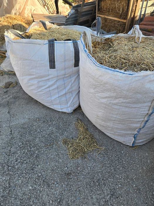 Palha triturada - GRÁTIS