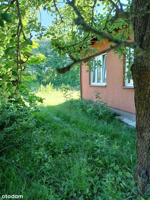 Sprzedam dużą, malowniczą działkę z domkiem Brzeźce k. Białobrzegów