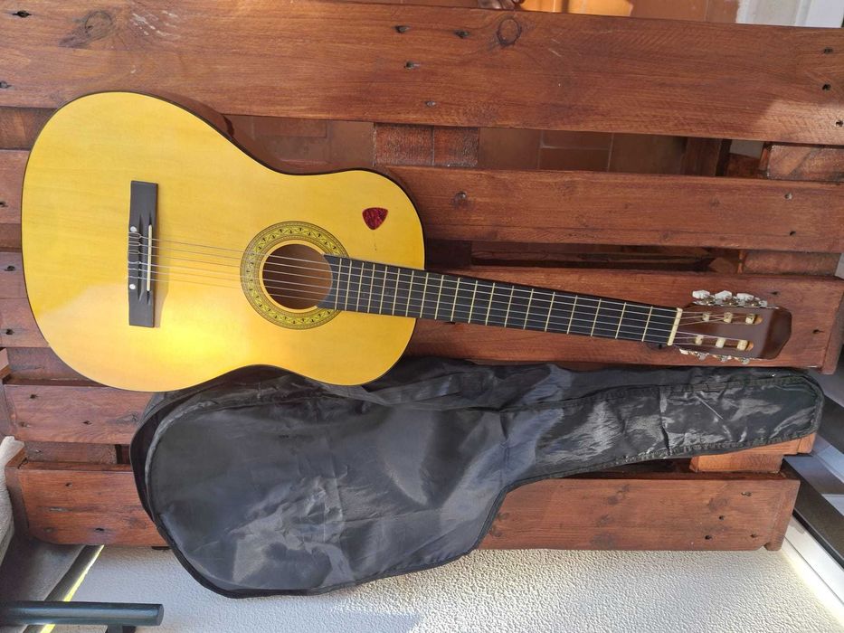 Viola com capa e palheta