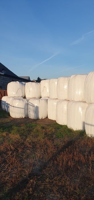 Sianokiszonka w belach