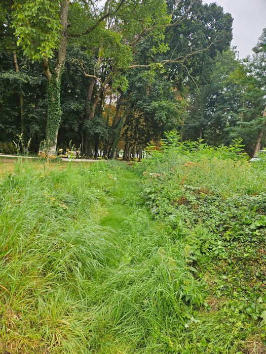 Serviços de jardinagem