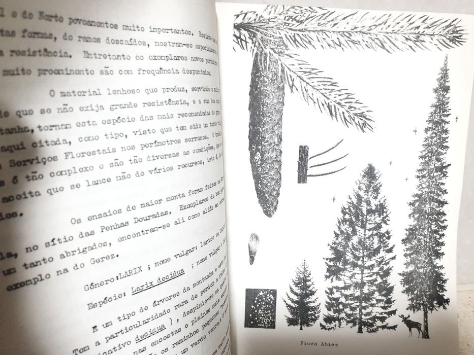 Livro: primeiras noções de dendrologia Florestal