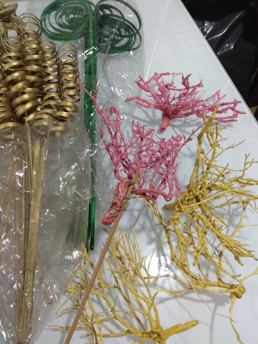 Material natural preservado