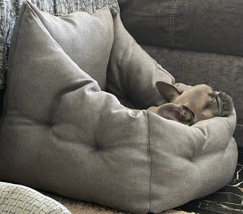 Автогамак/ автокрісло. Колір "Графіт"