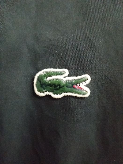 Blusão bomber Lacoste original